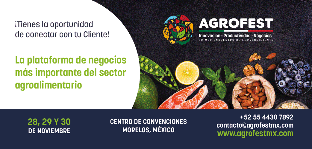 AgroFest identity project image 2