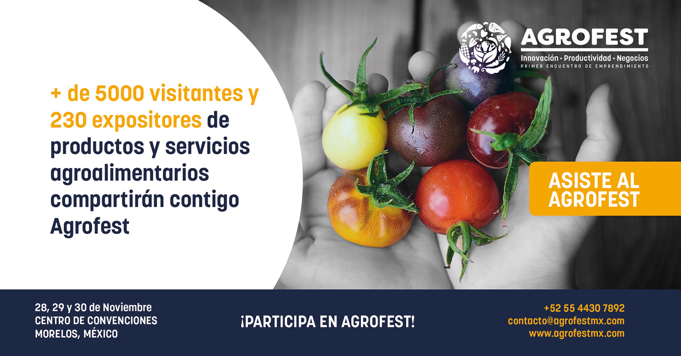 AgroFest identity project image 5