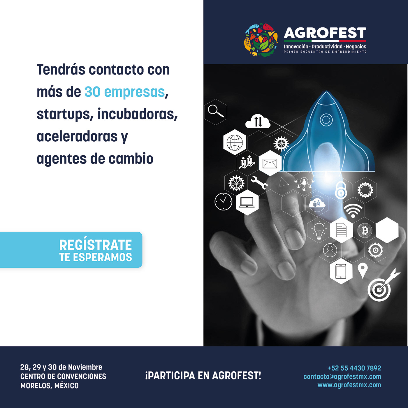 AgroFest identity project image 8
