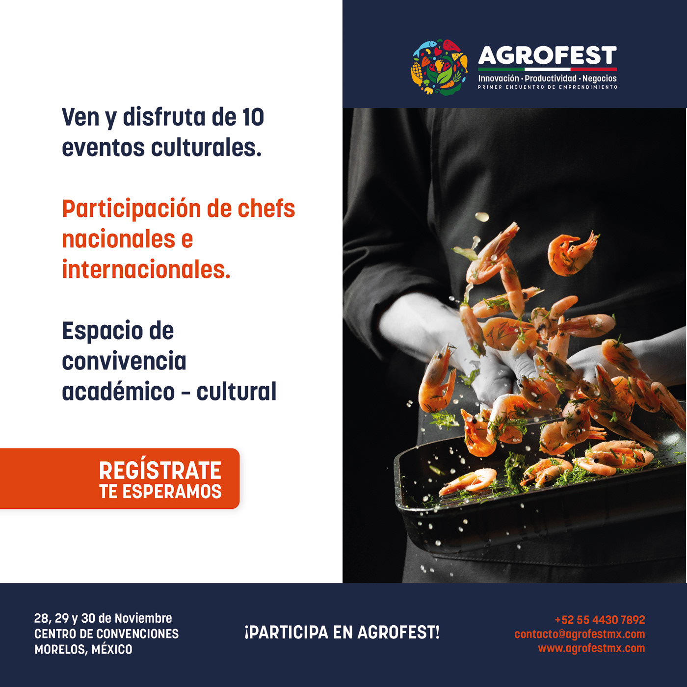 AgroFest identity project image 12