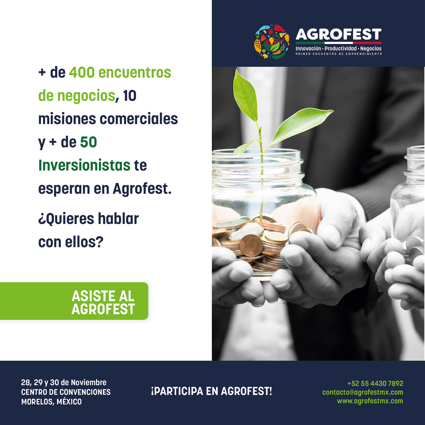 AgroFest identity project image 14