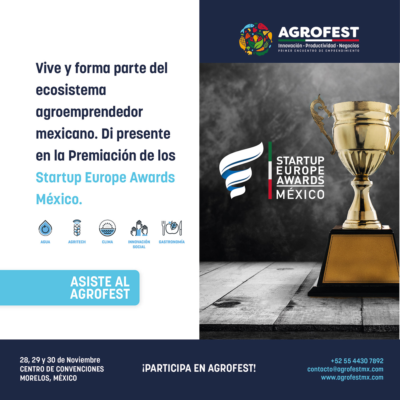 AgroFest identity project image 16