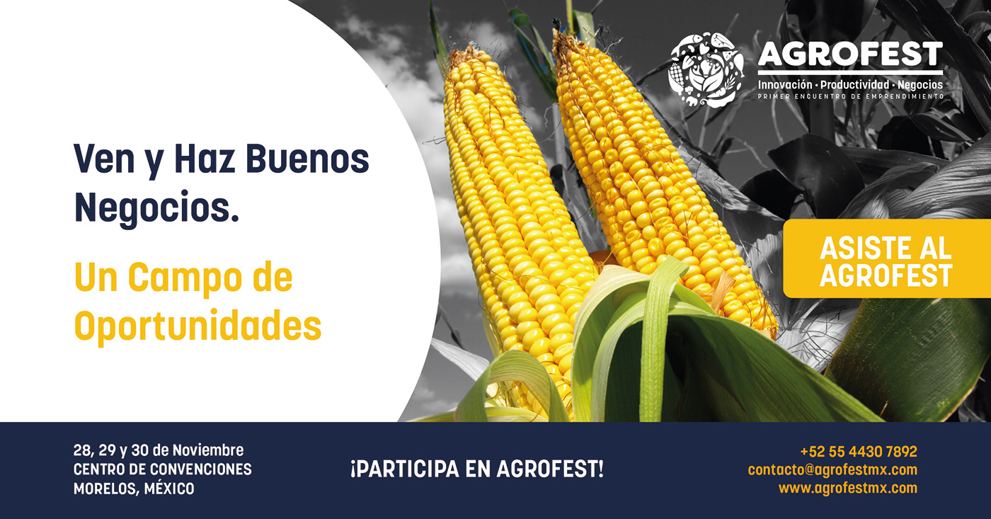 AgroFest identity project image 17