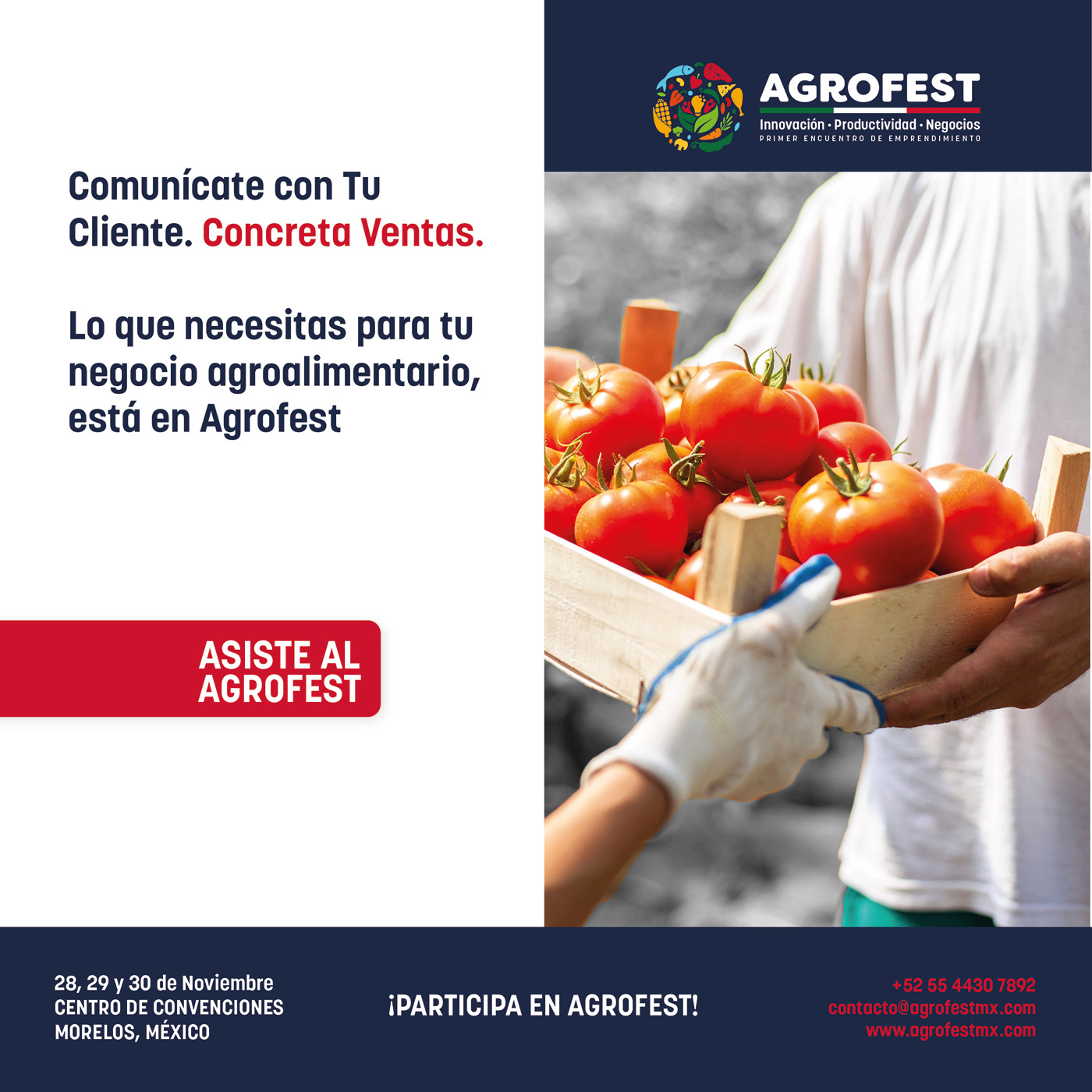 AgroFest identity project image 20
