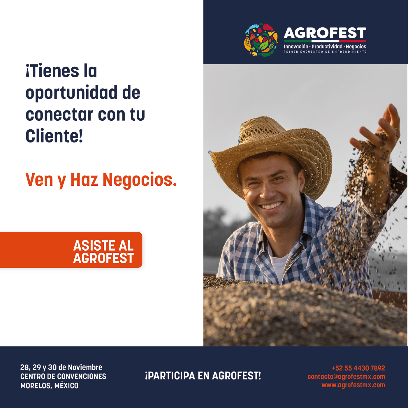 AgroFest identity project image 22