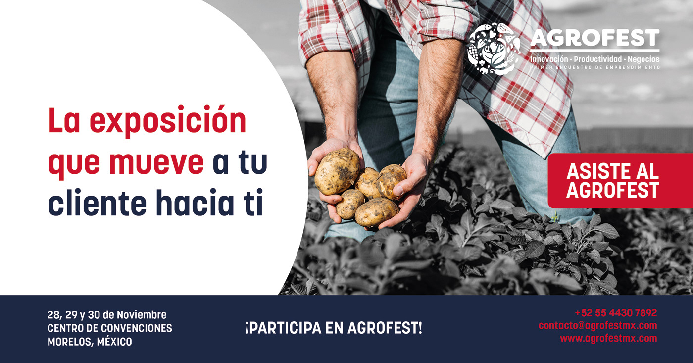 AgroFest identity project image 25