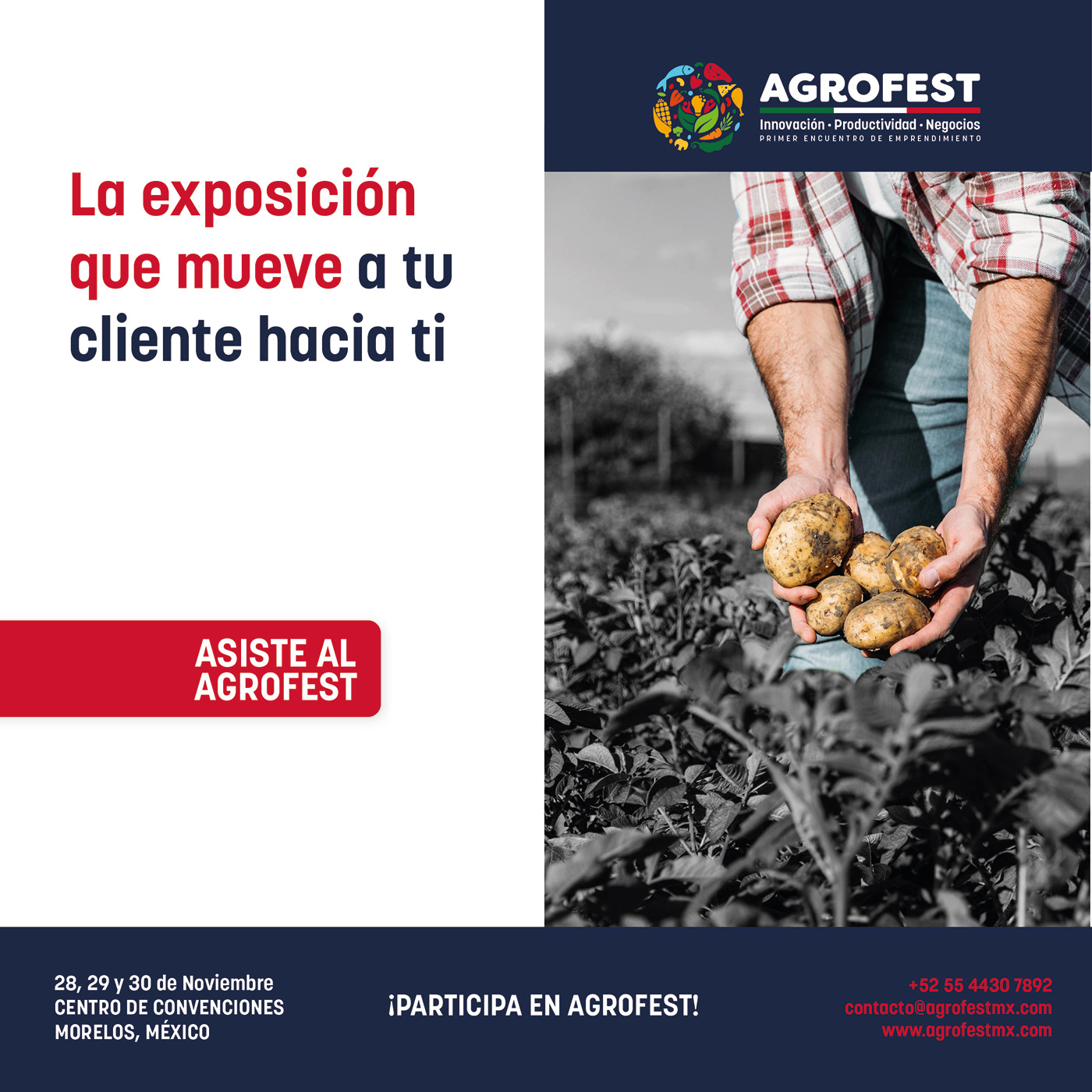 AgroFest identity project image 26