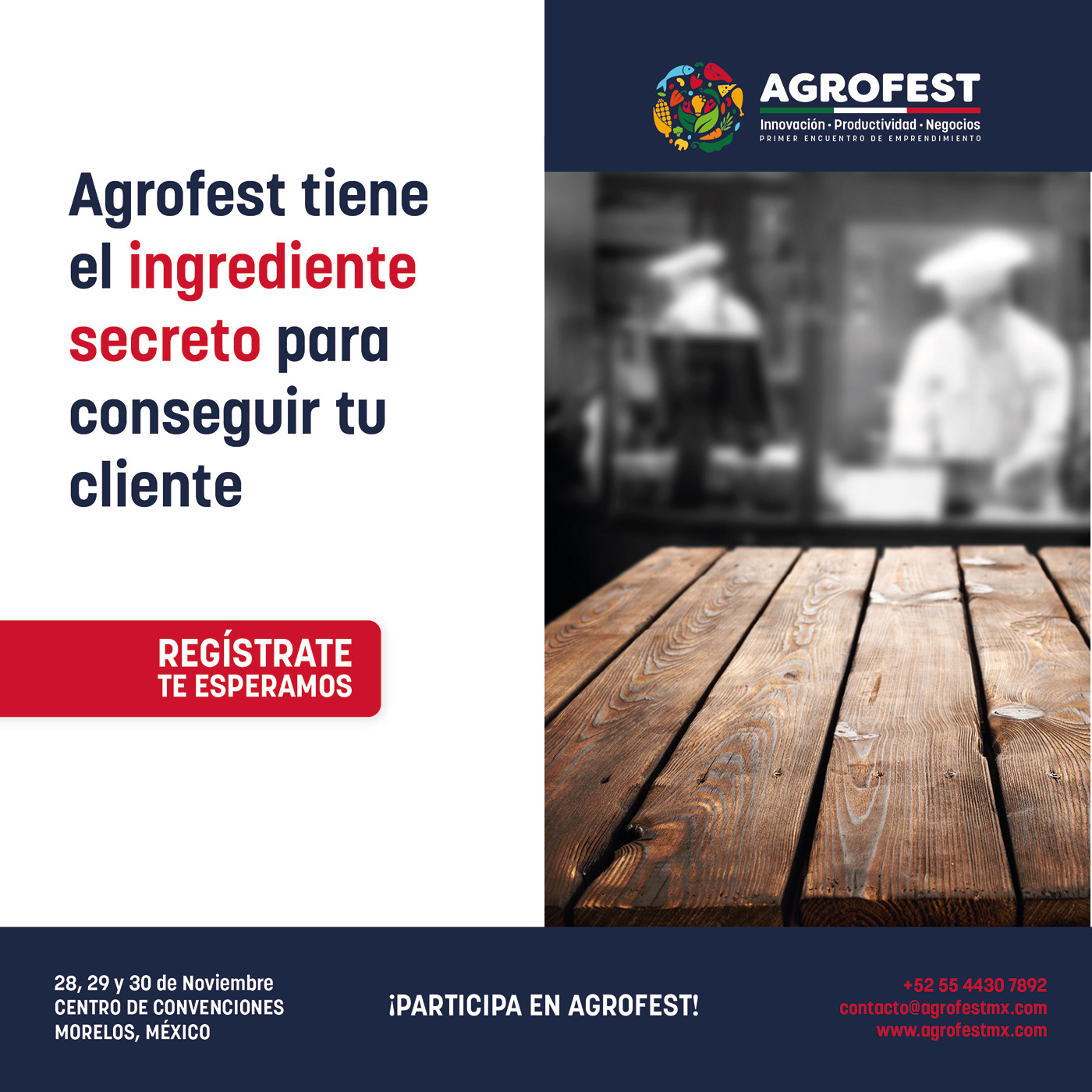 AgroFest identity project image 28