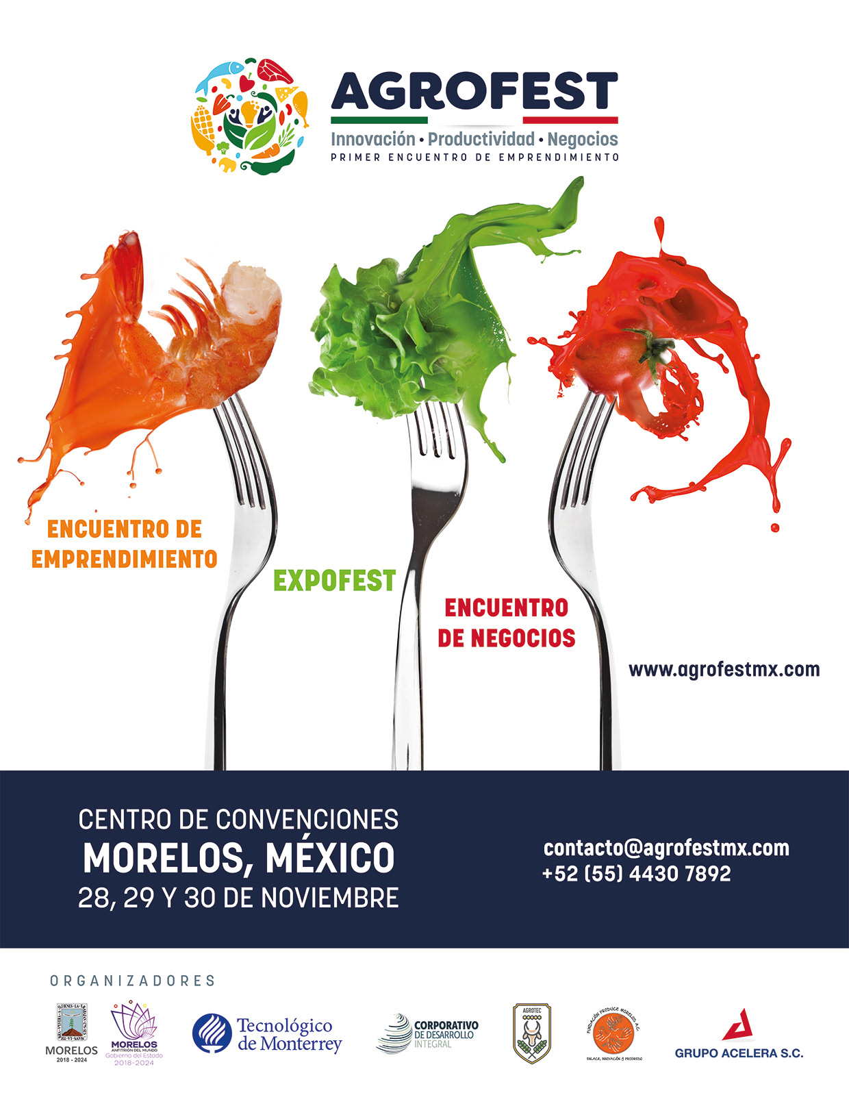 AgroFest identity project image 34