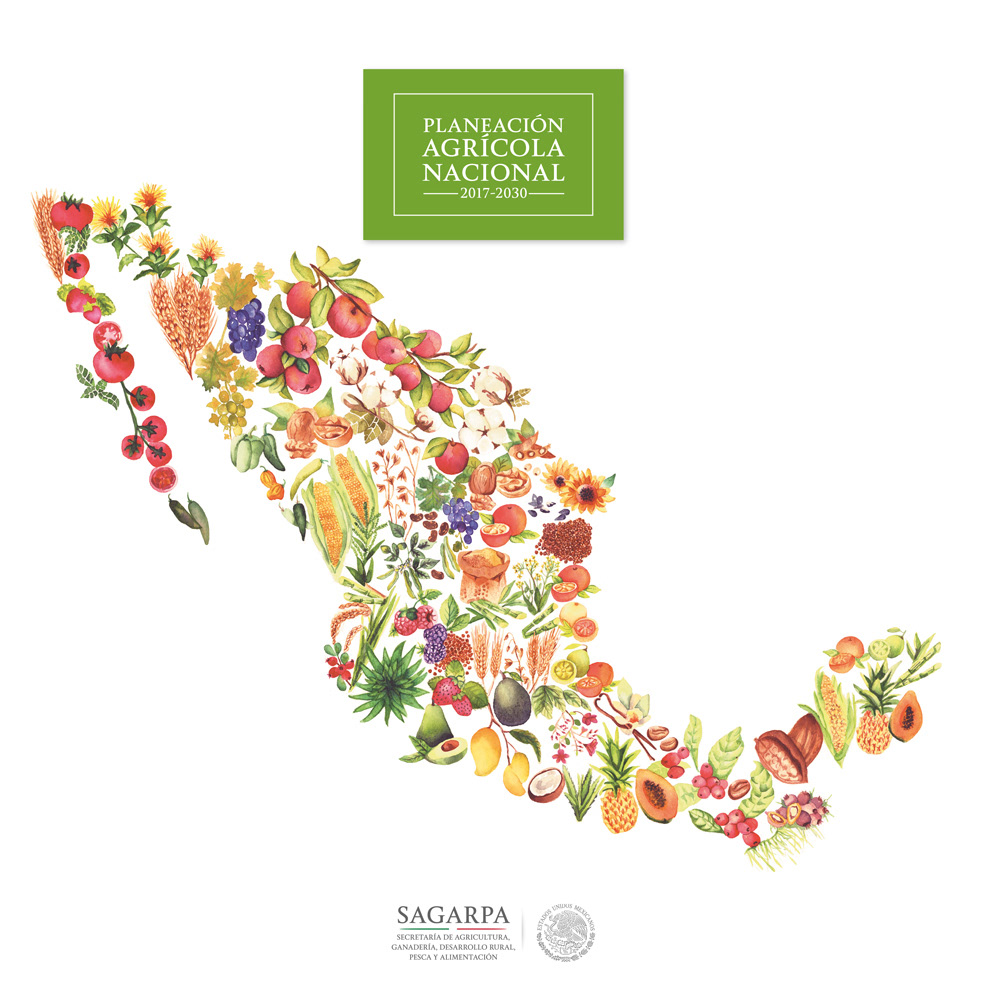 Planeación Agrícola Nacional book cover