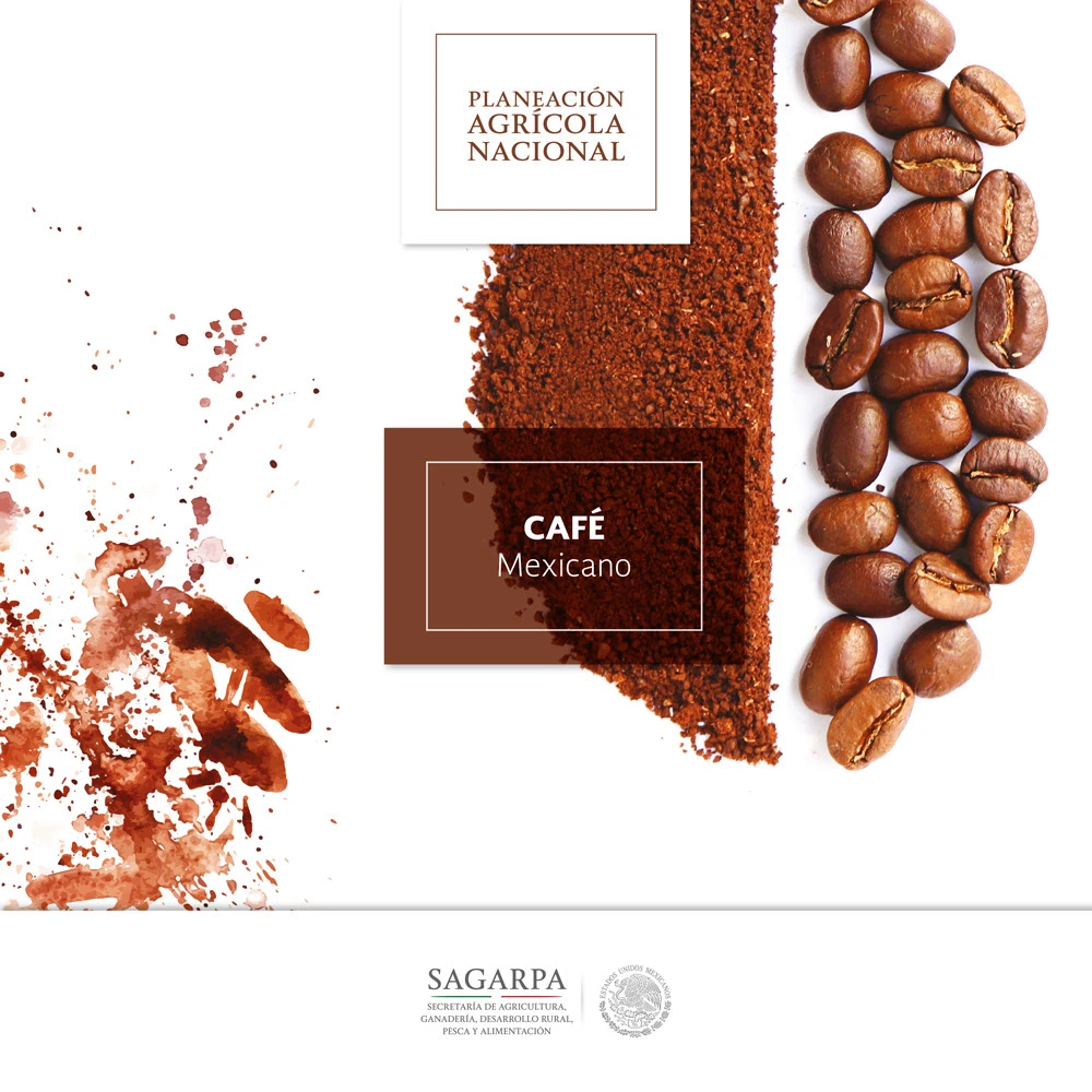 Book cover design 3