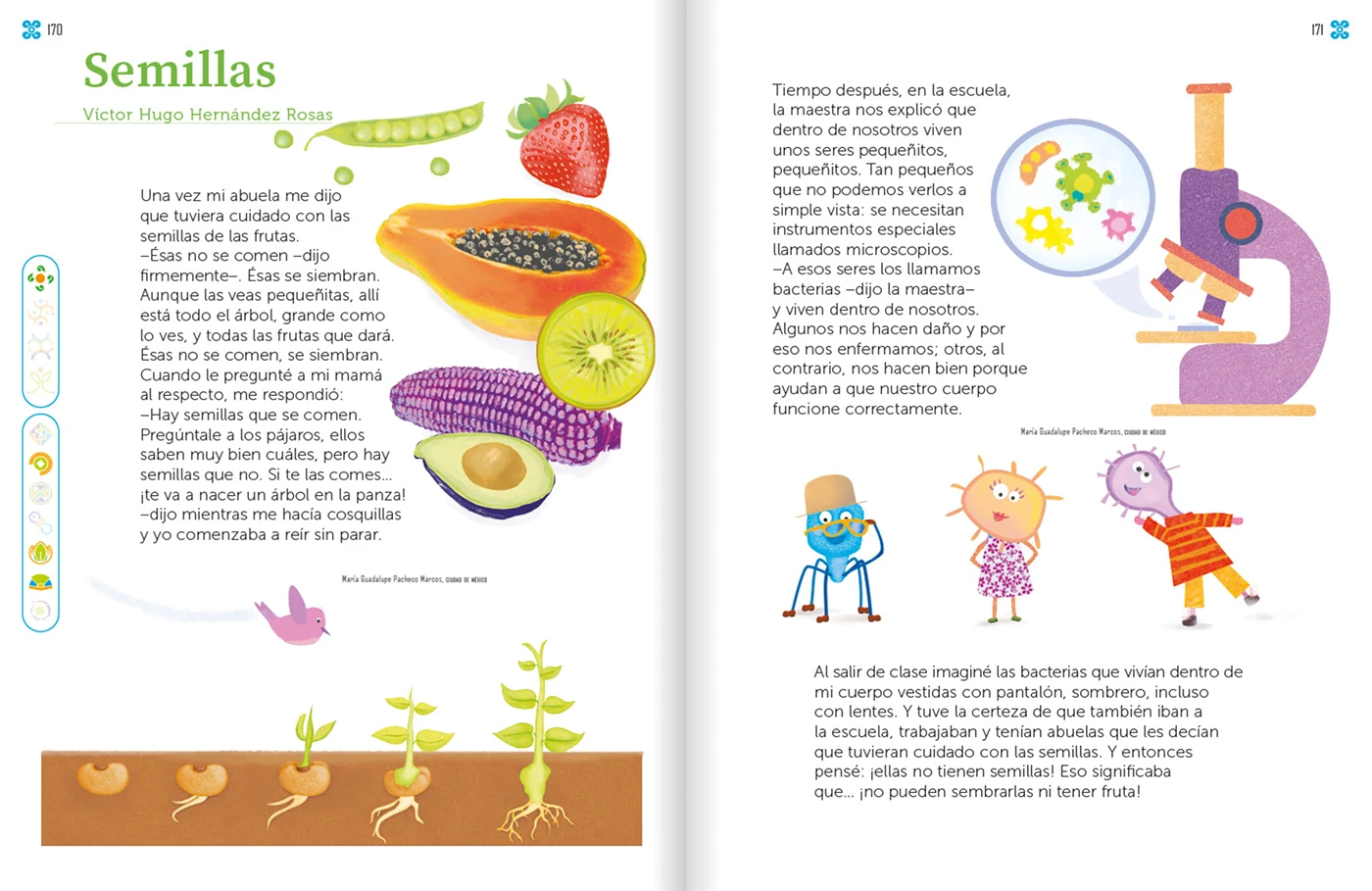 Illustrated national children’s textbook spread about seeds and science