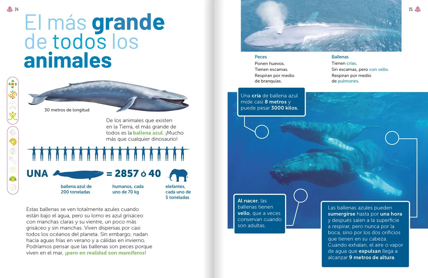 National children’s textbook layout 17