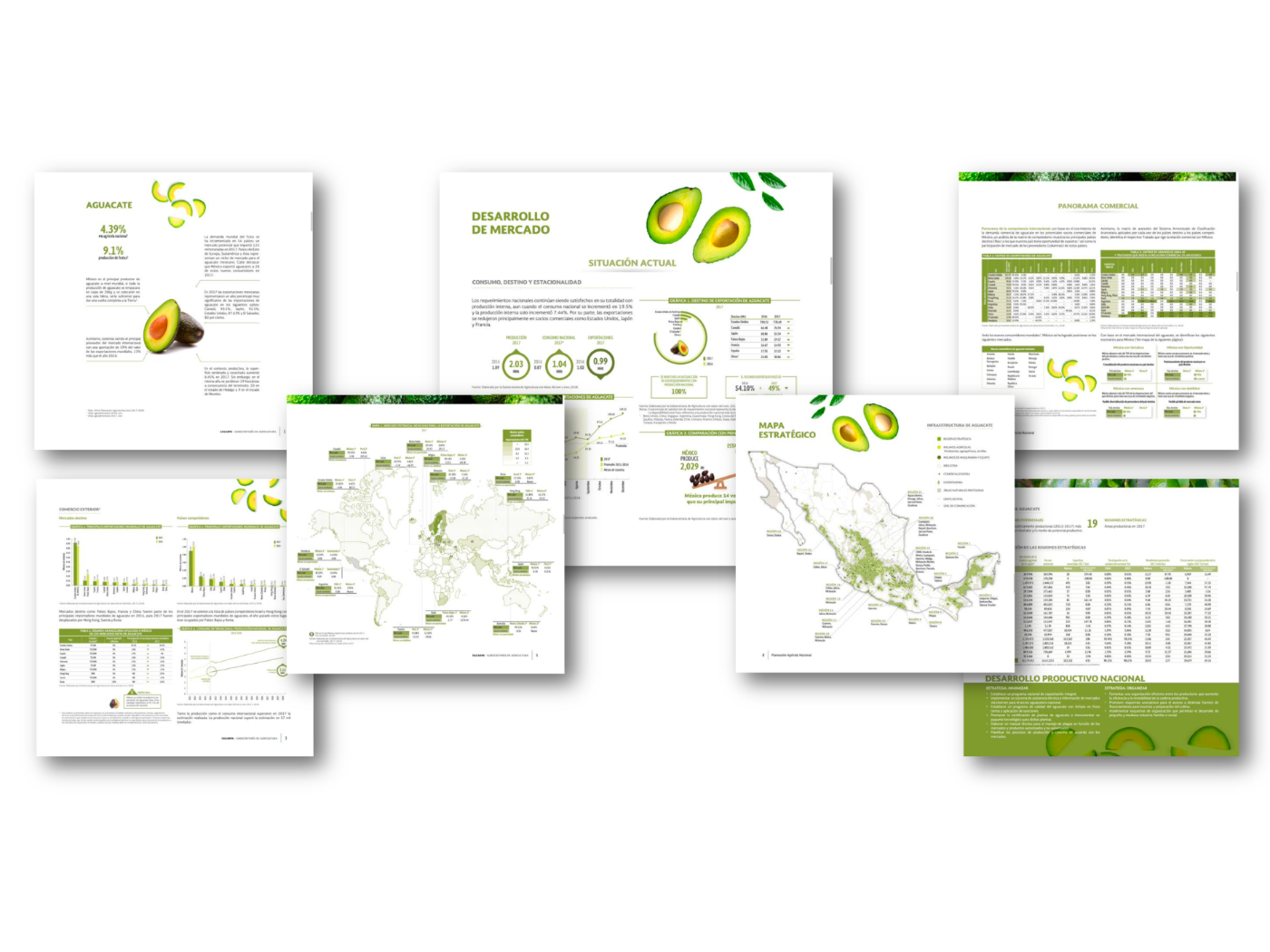 Booklet interior spread — Desarrollo de Mercado