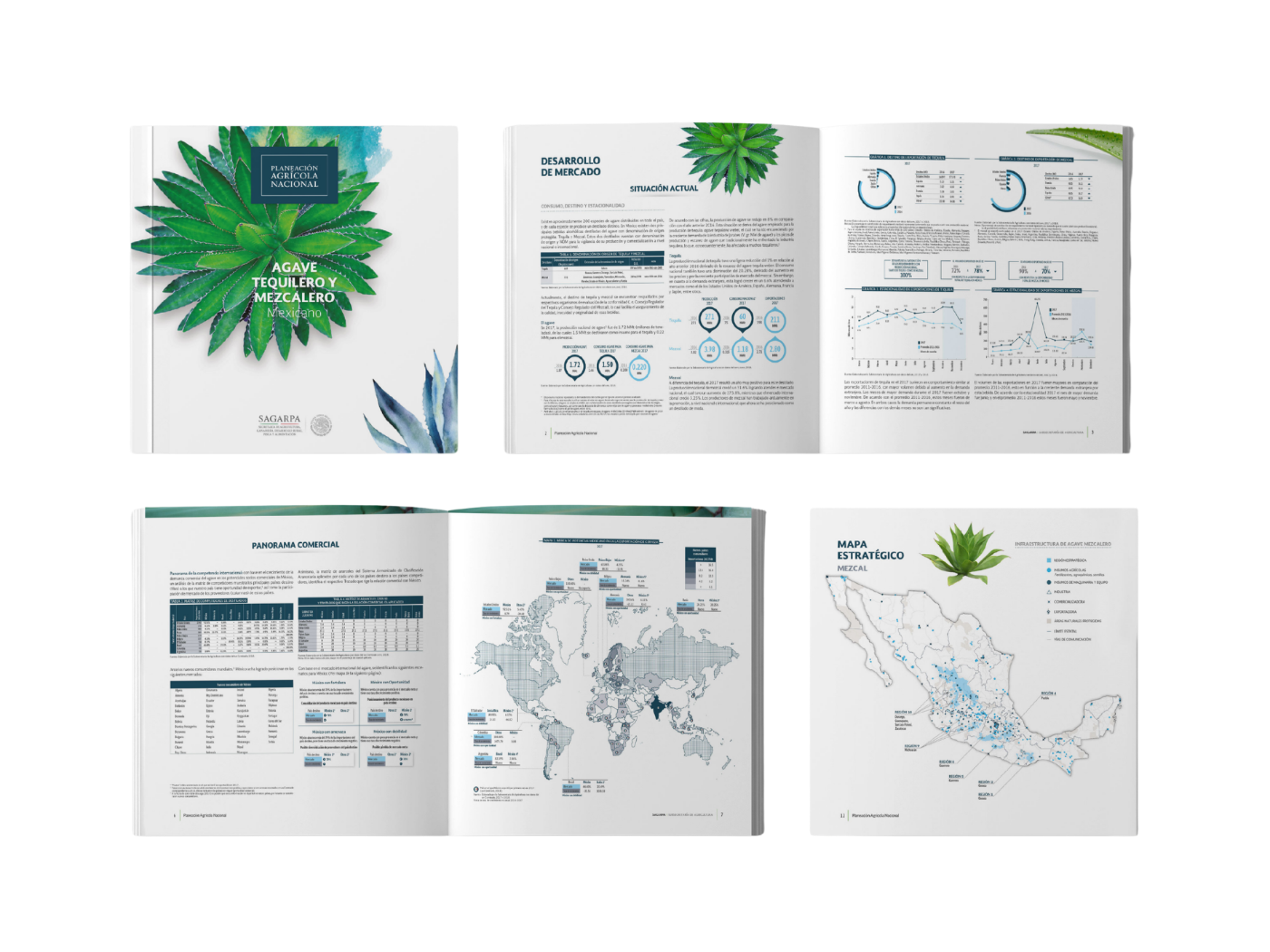Booklet interior spread — Producción de Aguacate